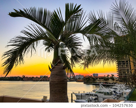 Sunset view of a canal and yachts in Hallandale beach, Florida. High quality photo 104257630