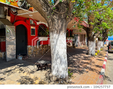 The streets of Tipasa, Algeria. High quality photo The streets of Tipasa, Algeria. High quality photo 104257737