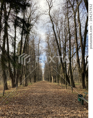 Panoramic view of the alleys in the Gorki Leninskiye Museum-Reserve in autumn. High quality photo 104257932