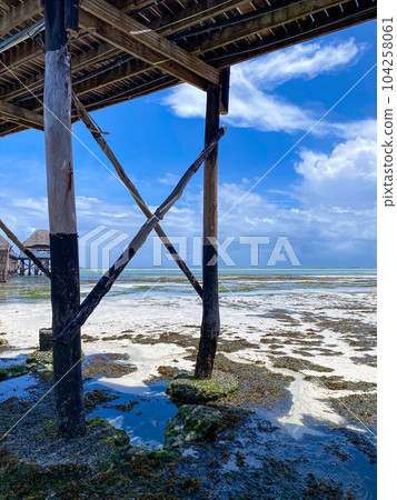 Shallow water from underneath the Melia hotel pier, Kiwengwa, Zanzibar. High quality photo 104258061
