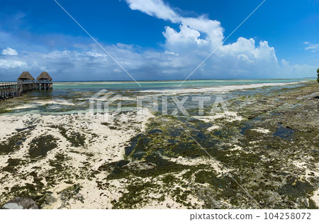 Melia Zanzibar beach on low tide. Panorama. Blue sky. High quality photo Melia Zanzibar beach on low tide. Panorama. Blue sky. High quality photo 104258072