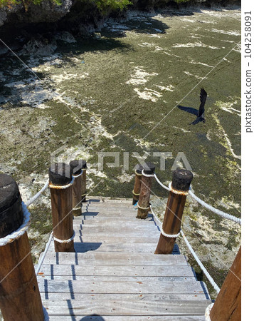 Wooden stairs leading to muddy low tide ocean ground. High quality photo 104258091