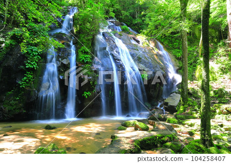 [Kyoto Prefecture] Fresh green Kanabiki Falls (Japan's top 100 waterfalls) 104258407