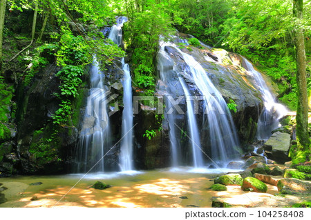 [京都府]鮮綠的金引瀑布（日本瀑布百選） 104258408