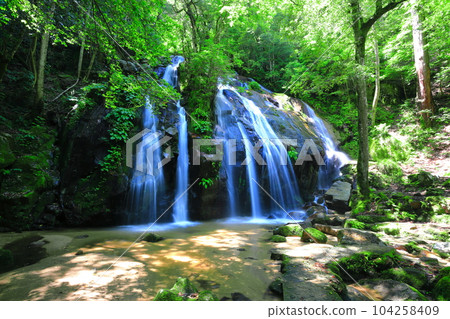 [京都府]鮮綠的金引瀑布（日本瀑布百選） 104258409