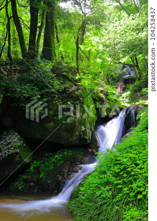 [京都府]鮮綠的金引瀑布和白龍瀑布（日本瀑布百選） 104258437
