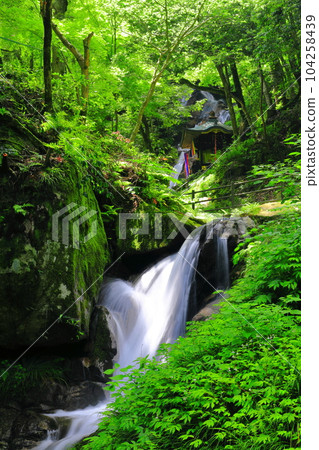 [Kyoto Prefecture] Fresh green Kanabiki Falls and Hakuryu Falls (Japan's Top 100 Waterfalls) 104258439