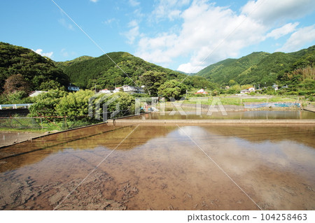 伊豆半島充滿水的稻田 104258463