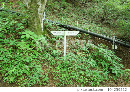 神馬山新健行路線（神馬山頂峰與和田峠交會處）（東京都八王子市） 104259212