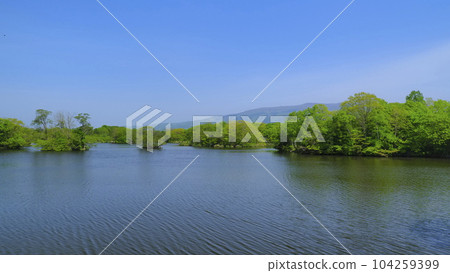 大沼公園(5月)5 大沼公園(5月)5 104259399