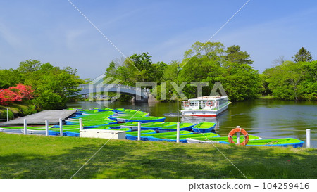 大沼公園(5月)2 大沼公園(5月)2 104259416