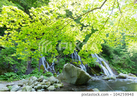 Fresh green Toryu Falls Fresh green Toryu Falls 104259948