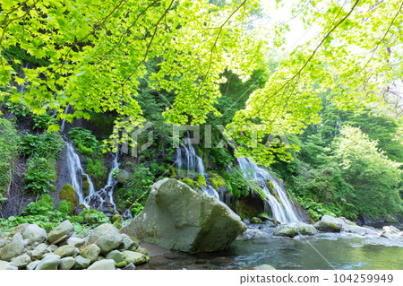 Fresh green Toryu Falls Fresh green Toryu Falls 104259949