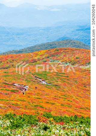 Mt. Kurikoma Climbing in Autumn (Central Course): God's Carpet Mt. Kurikoma Climbing in Autumn (Central Course): God's Carpet 104260048