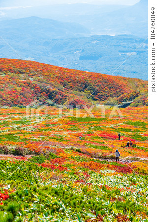 Mt. Kurikoma Climbing in Autumn (Central Course): God's Carpet Mt. Kurikoma Climbing in Autumn (Central Course): God's Carpet 104260049