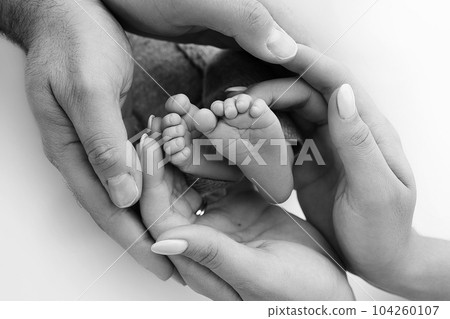 The palms of the father, the mother are holding the foot of the newborn baby on white background. Feet of the newborn on the palms of the parents. Photography of a child's toes, heels and feet. 104260107