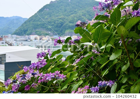 Scenery of Shimoda seen from Shimoda Park 104260432