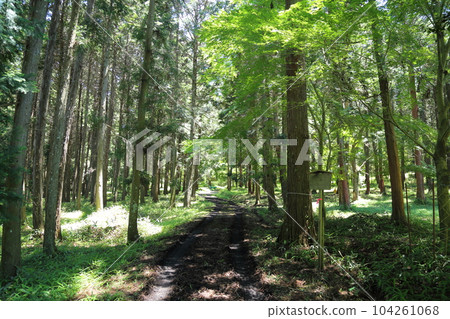 日雲神社(信樂高原鐵道經過境內)【滋賀縣甲賀市信樂町雲井站附近】 日雲神社(信樂高原鐵道經過境內)【滋賀縣甲賀市信樂町雲井站附近】 104261068