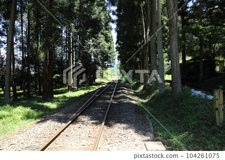 Higumo Shrine (Shigaraki Kogen Railway passes through the precincts) [Shigaraki-cho, Koka City, Shiga Prefecture, near Kumoi Station] 104261075