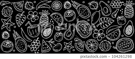 Tropical fruits. Horizontal banner for your text. White on black background Tropical fruits. Horizontal banner for your text. White on black background 104261298