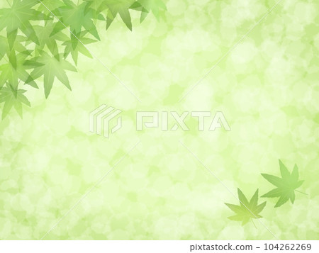 Green maple background A-1 Green maple background A-1 104262269