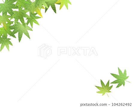 Green maple background D-2 Japanese paper Green maple background D-2 Japanese paper 104262492
