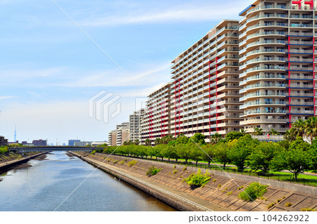 Hinode Bridge / Looking towards Akemi Bridge from Sakai River (Urayasu City, Chiba Prefecture) [June 2023] 104262922