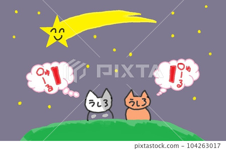 big-eyed cat shooting star big-eyed cat shooting star 104263017