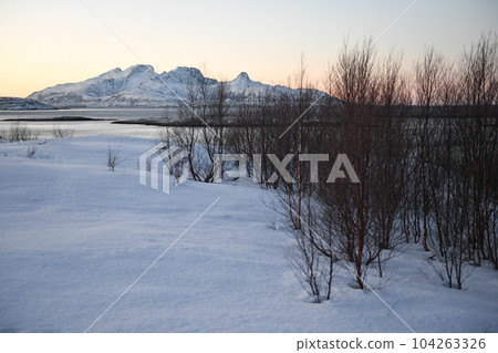 Norwegian winter landscape 104263326