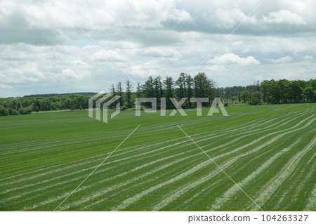 Enjoy spring in eastern Hokkaido Enjoy spring in eastern Hokkaido 104263327