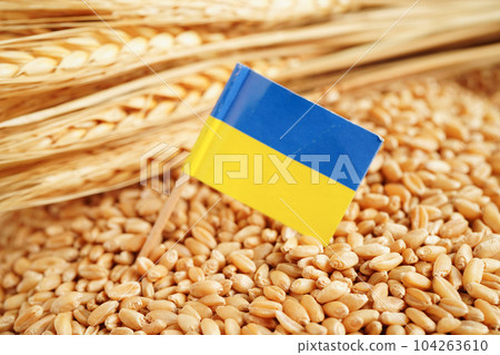 Ukraine flag on grain wheat, trade export and economy concept. Ukraine flag on grain wheat, trade export and economy concept. 104263610