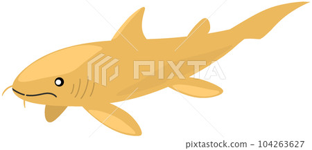 Puchikodus Puchikodus 104263627
