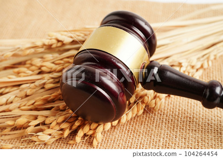 Judge gavel hammer with good grain rice from agriculture farm. Law and justice court concept. Judge gavel hammer with good grain rice from agriculture farm. Law and justice court concept. 104264454