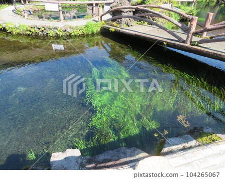 山梨縣忍野Hakkai 104265067