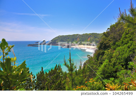 Tagyu Beach, Shimoda City, Shizuoka Prefecture, where you can see the beautiful beach of Tagyu Beach from the observatory spot on the promenade of Izu Peninsula, Minamiizu, and Ryugu Cave 104265499