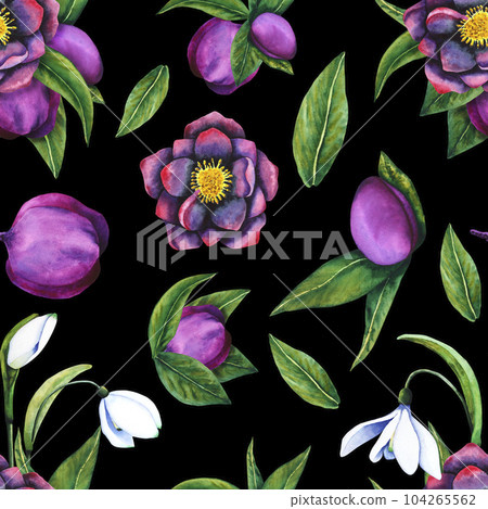 Hellebore black, snowdrop. Seamless pattern of watercolor elements on a dark background. Hand drawn flowers, buds and leaves. Watercolor botanical work for invitations, textiles and paper products 104265562
