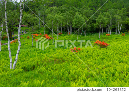 Inuka山 Inuka山 104265852