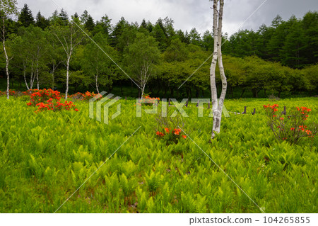 Mt. Inuka 104265855