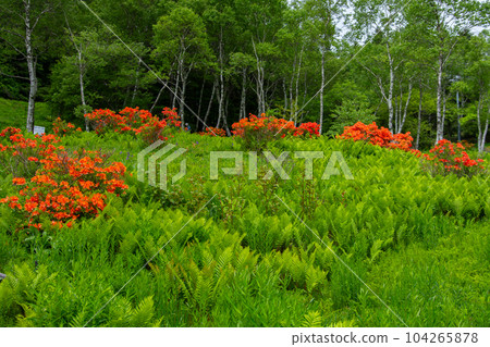 Mt. Inuka Mt. Inuka 104265878