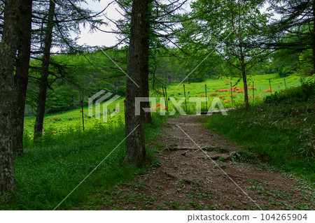 Mt. Inuka Mt. Inuka 104265904