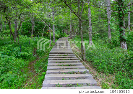 Mt. Inuka Mt. Inuka 104265915