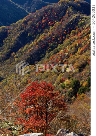 從Oku日光和寺廟山土坎線看見的秋葉山 從Oku日光和寺廟山土坎線看見的秋葉山 104266032