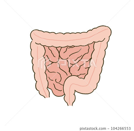 簡單觸摸腸道的醫學醫學插圖 104266553