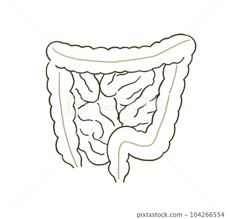 簡單觸摸腸道的醫學醫學插圖 簡單觸摸腸道的醫學醫學插圖 104266554