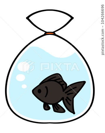 Illustration material of goldfish in a bag scooped at the fair Illustration material of goldfish in a bag scooped at the fair 104266696
