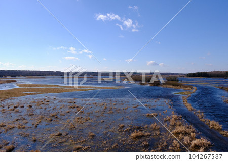 Flooded valley of Narew River in springtime under blue sky Flooded valley of Narew River in springtime under blue sky 104267587