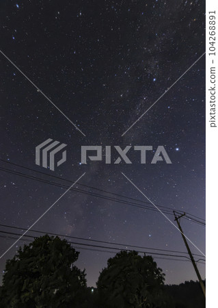 Summer Triangle and Cygnus under the autumn starry sky Summer Triangle and Cygnus under the autumn starry sky 104268891
