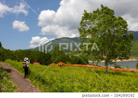 Lake Nozori in early summer, lakeside promenade and female hikers 104269192
