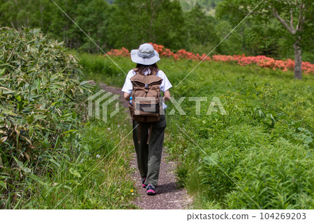 Lake Nozori in early summer, lakeside promenade and female hikers 104269203