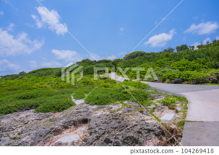 Okinawa Kudaka Island Island of the Gods, an island road where nature remains Okinawa Kudaka Island Island of the Gods, an island road where nature remains 104269418